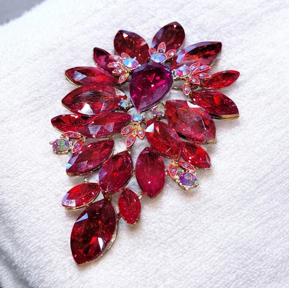 Large red brooch